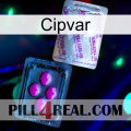 Cipvar 37